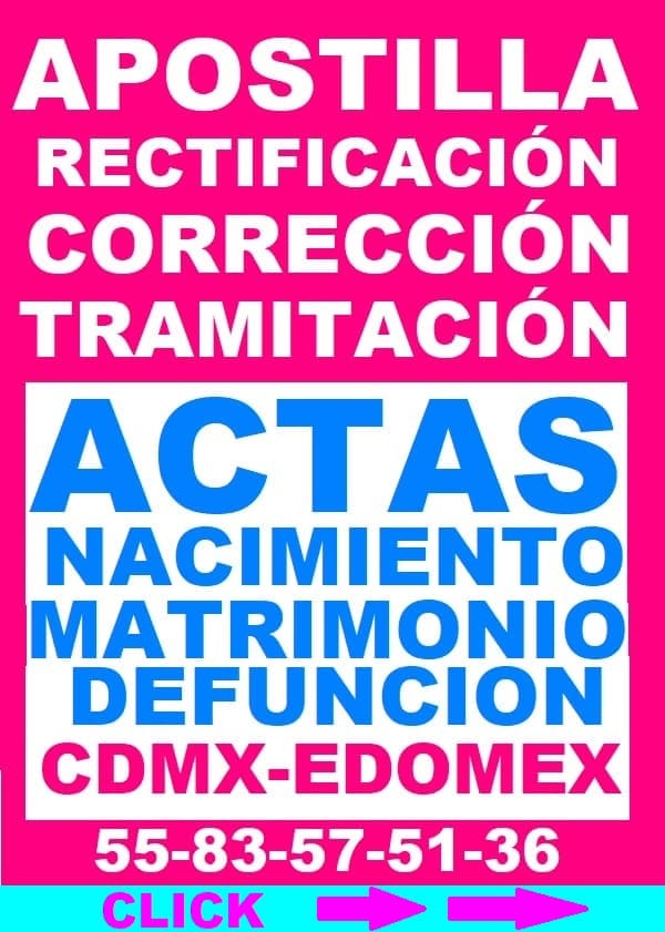 rectificación actas cdmx